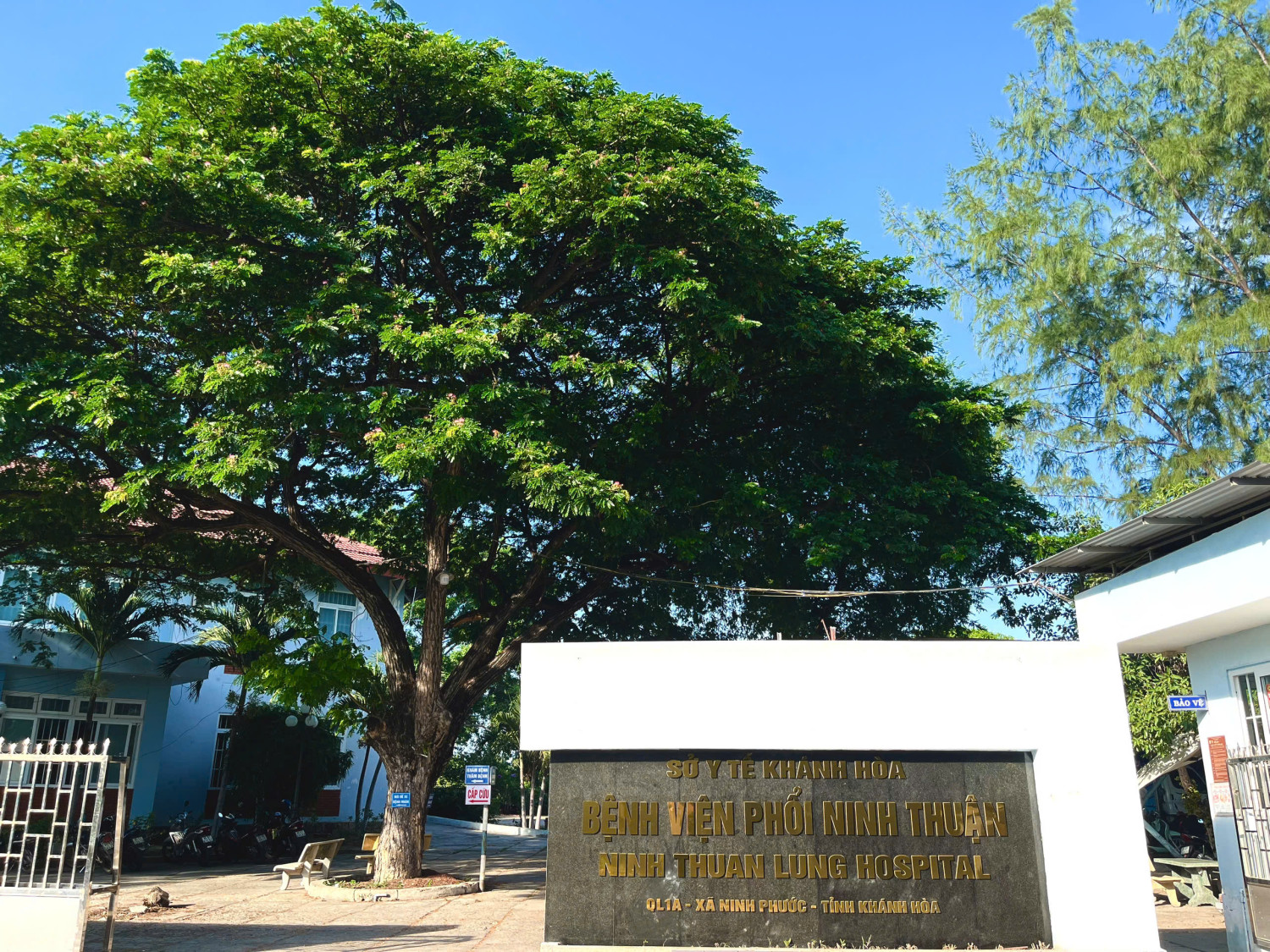 z6787473241839 d96ceb9251833c9ab76a8afd3809bdc2